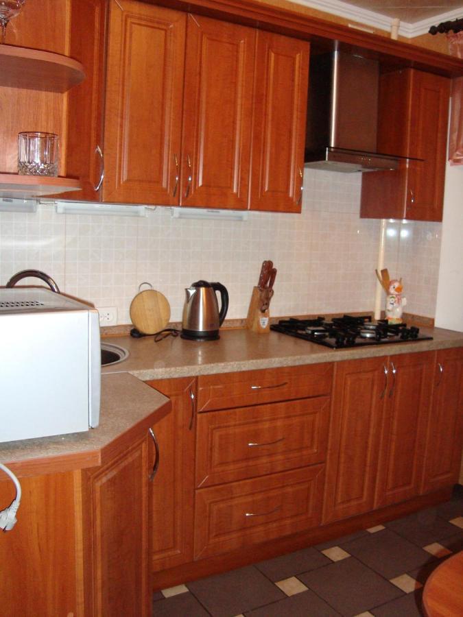 Apartment Center Near State Medical University, Cafe Efes Zaporizhia Eksteriør billede